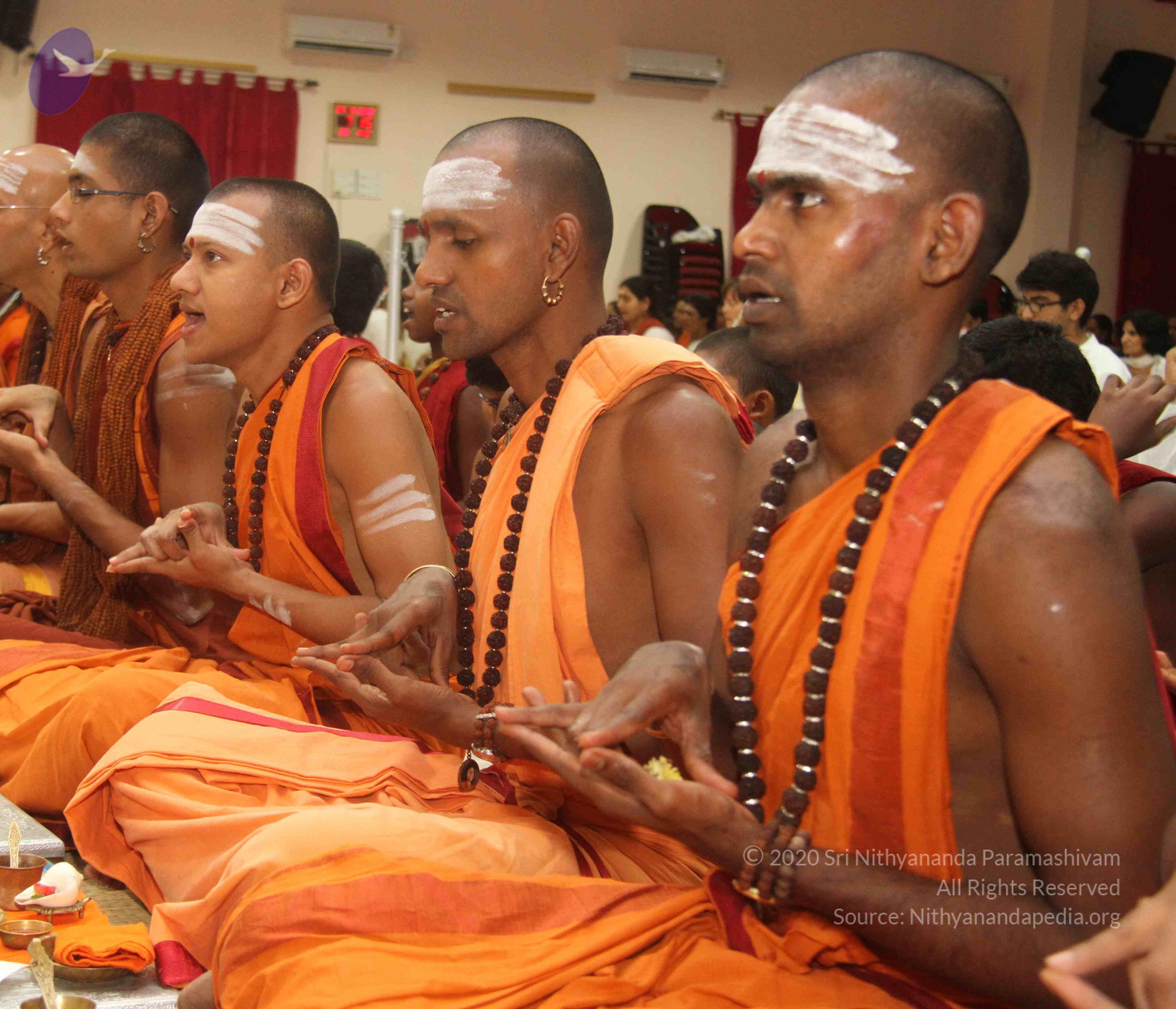 IMG_9218_CMP_WM Done